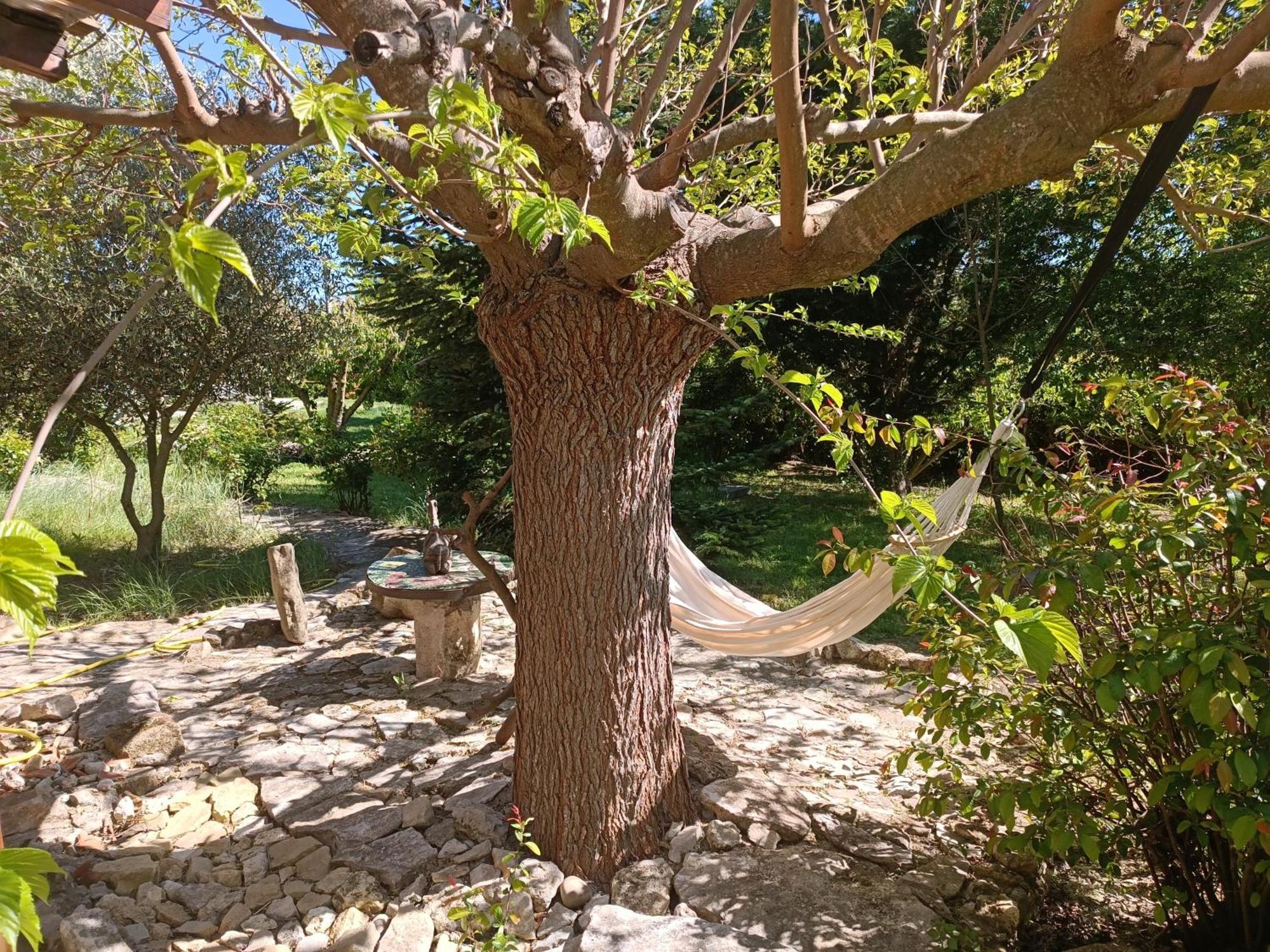 Hotel Lou Boulugi Aix-en-Provence Esterno foto